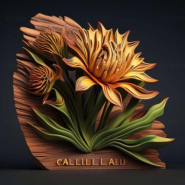 3D модель Caillardia springatei (STL)